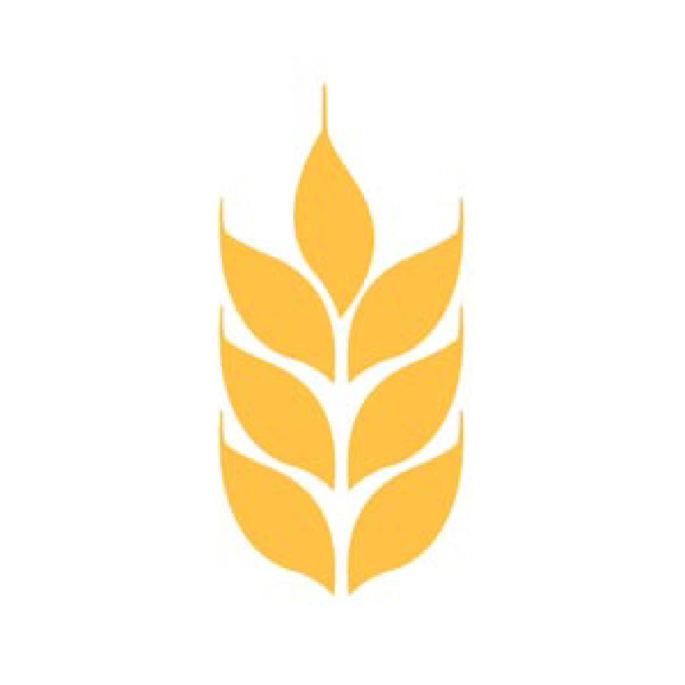 ONPE Elecciones Internas 2020