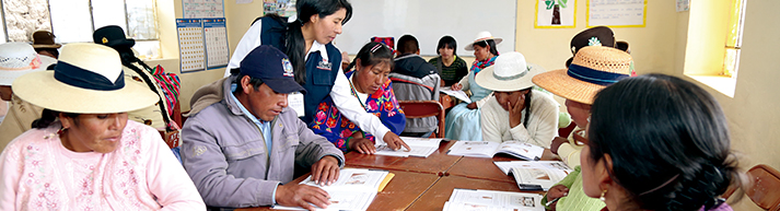 ASESORÍA A INSTITUCIONES U ORGANIZACIONES